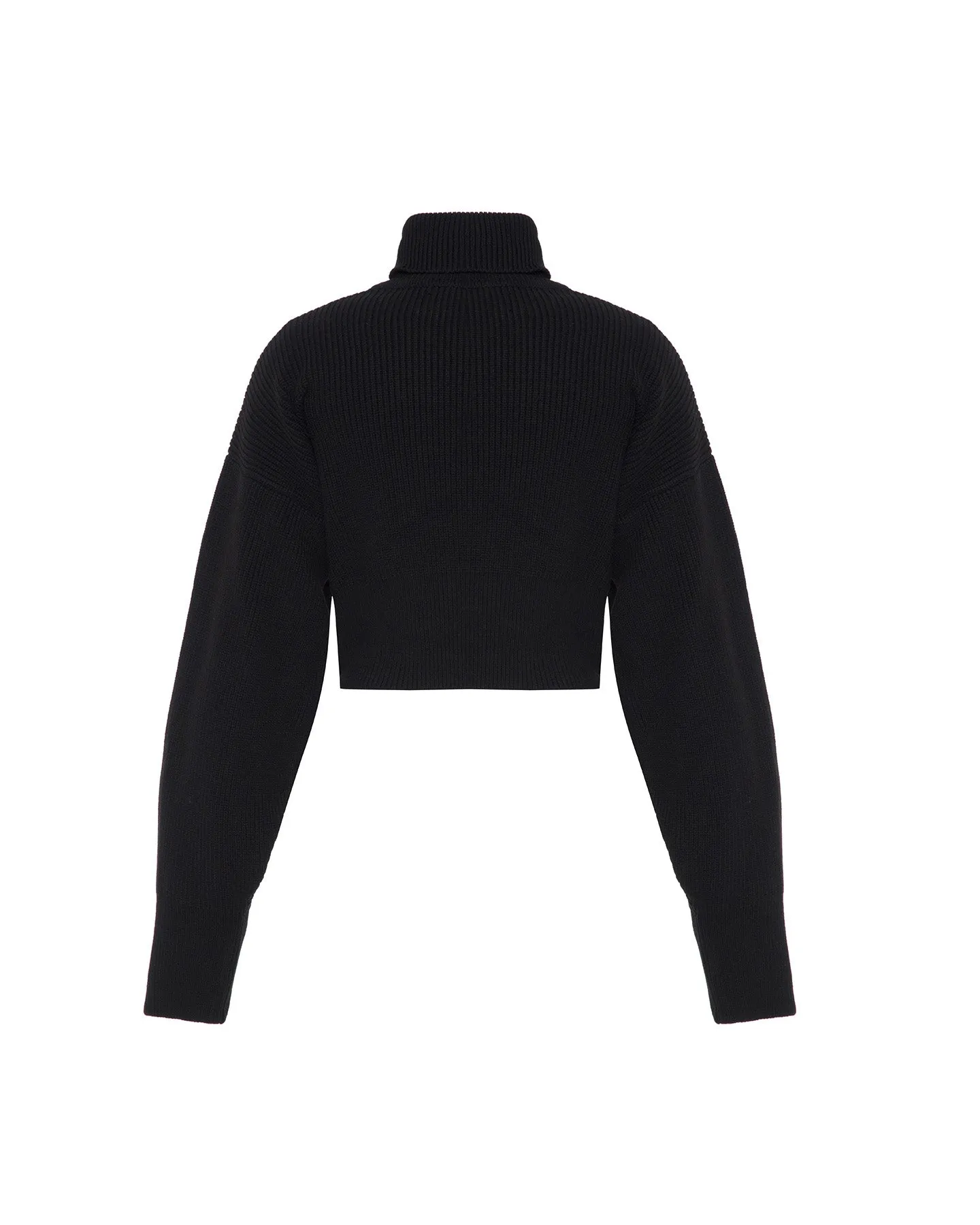 Angelia Cropped Turtleneck Sweater