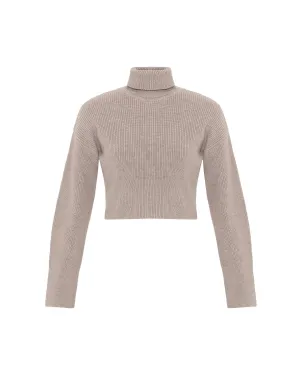 Angelia Cropped Turtleneck Sweater