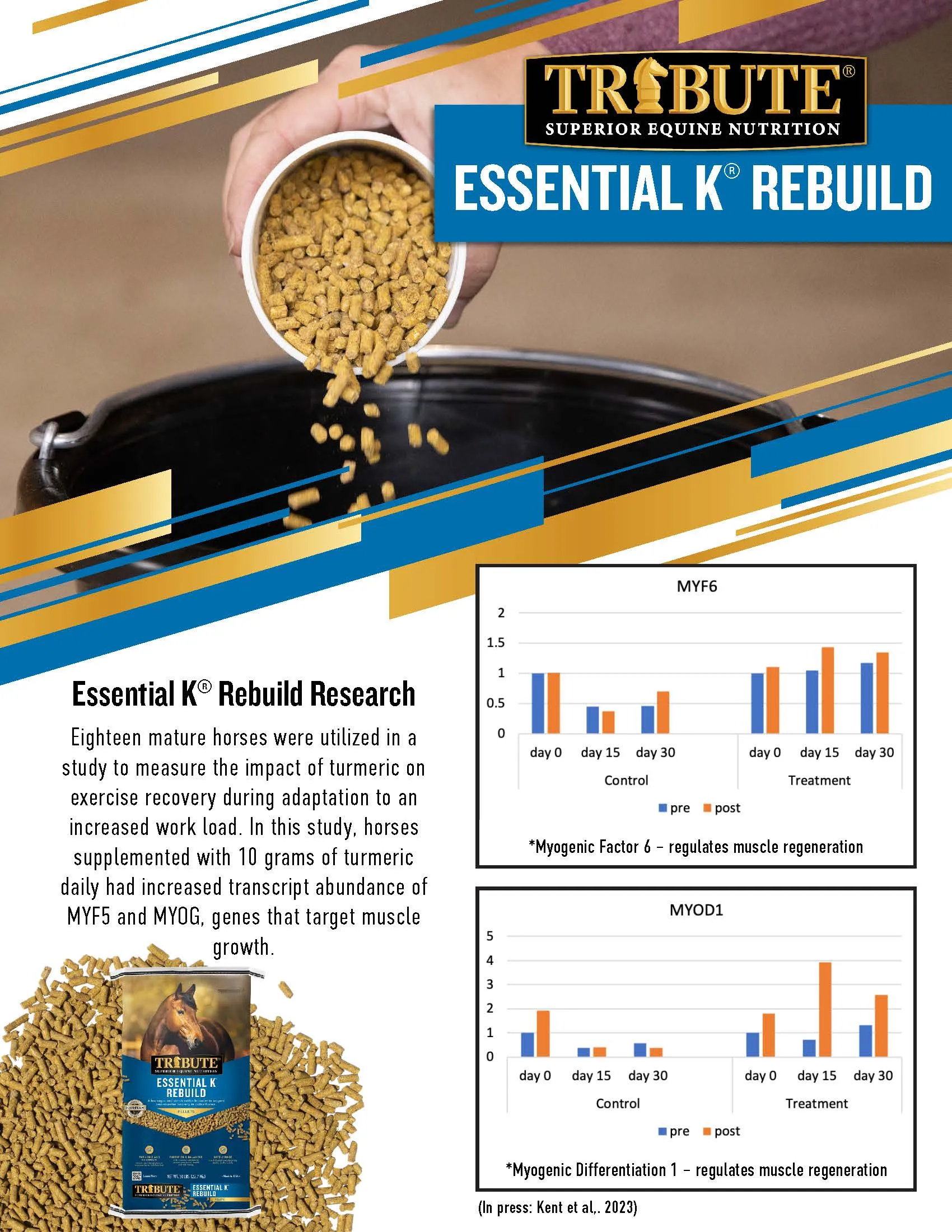 Essential K® Rebuild, Ration Balancer with Turmeric and Chromium