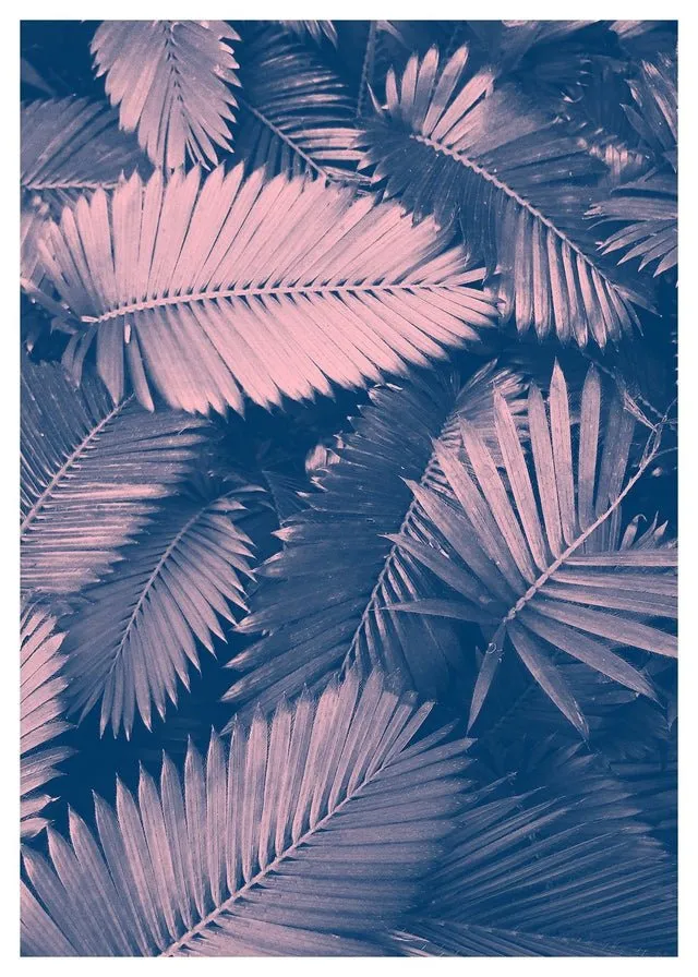 Foliage Pink and Blue Print