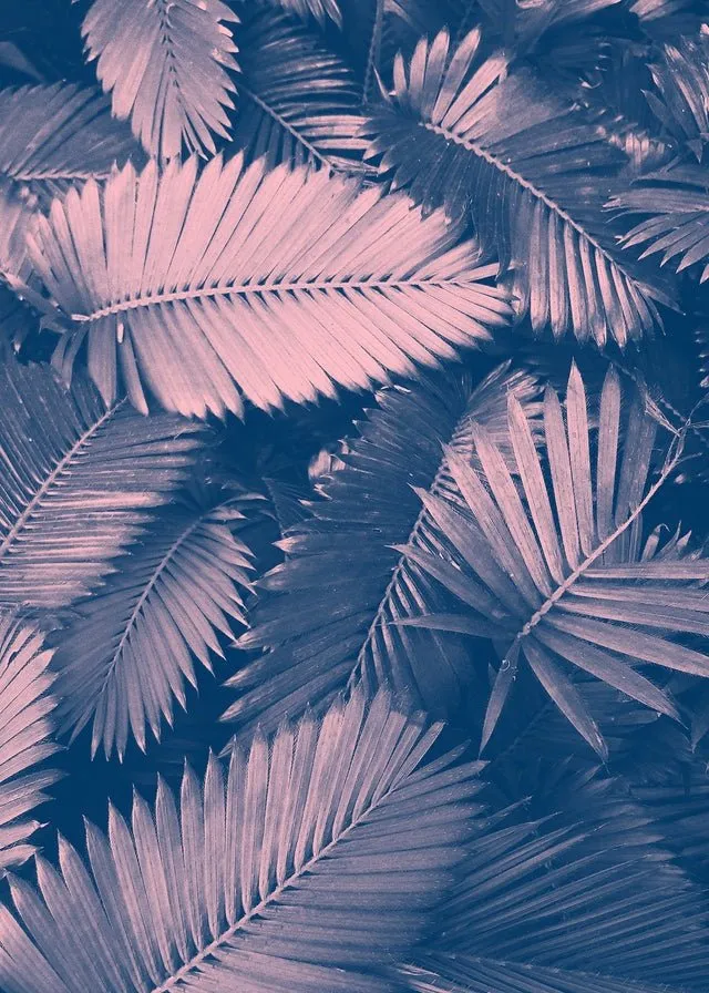 Foliage Pink and Blue Print