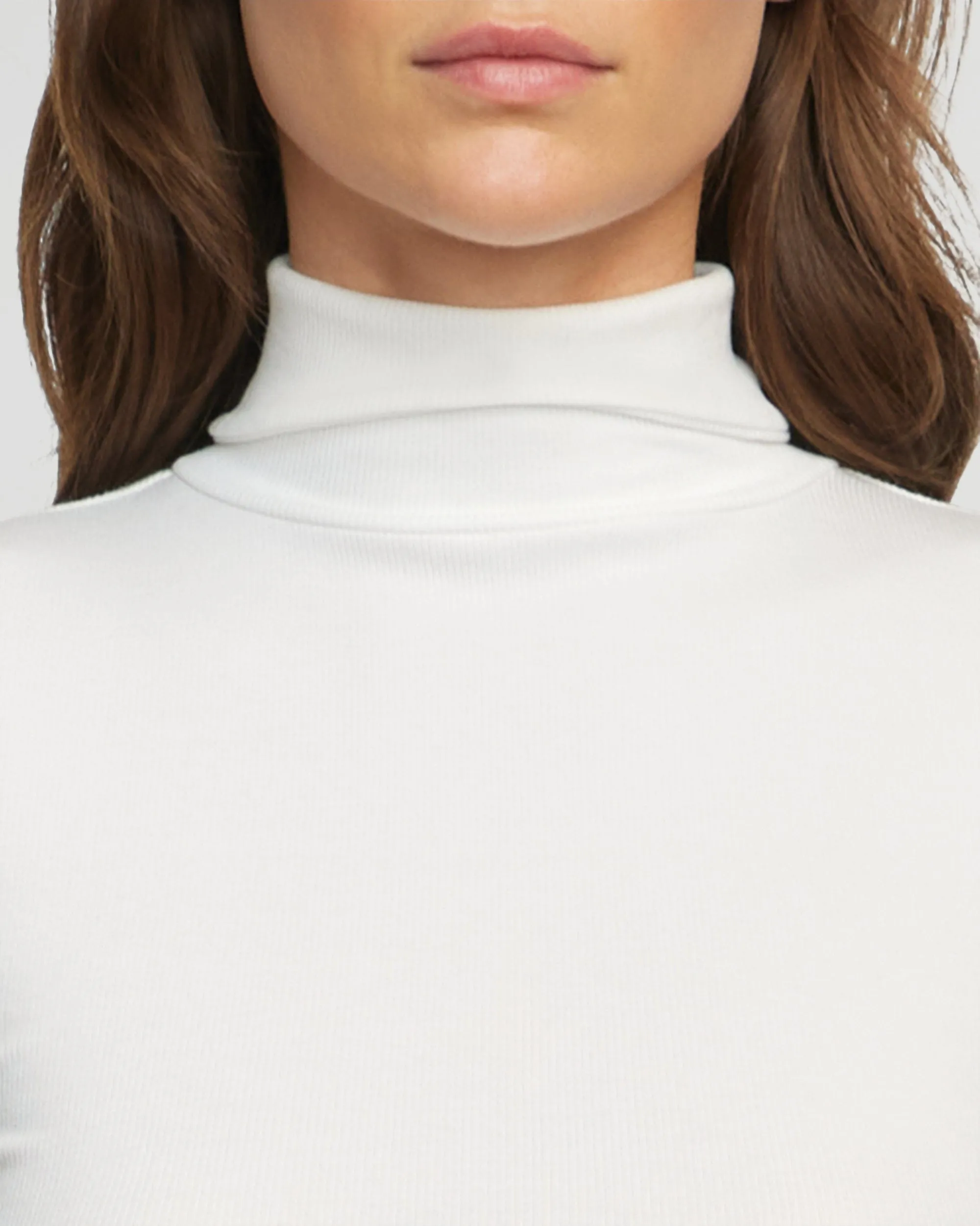 Shae Ribbed Turtleneck Semi-Sheer Tee